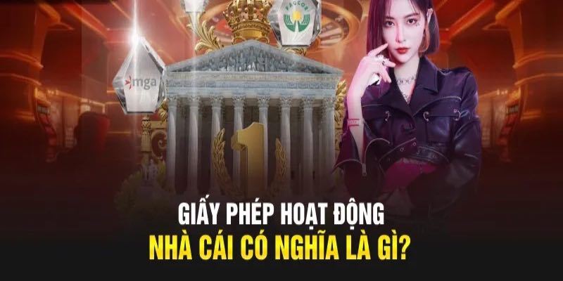 Tổng quan về giấy phép hoạt động TP88