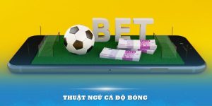 Thuật Ngữ Cá Độ Bóng Đá - Những Điều Cần Thiết Cho Bạn